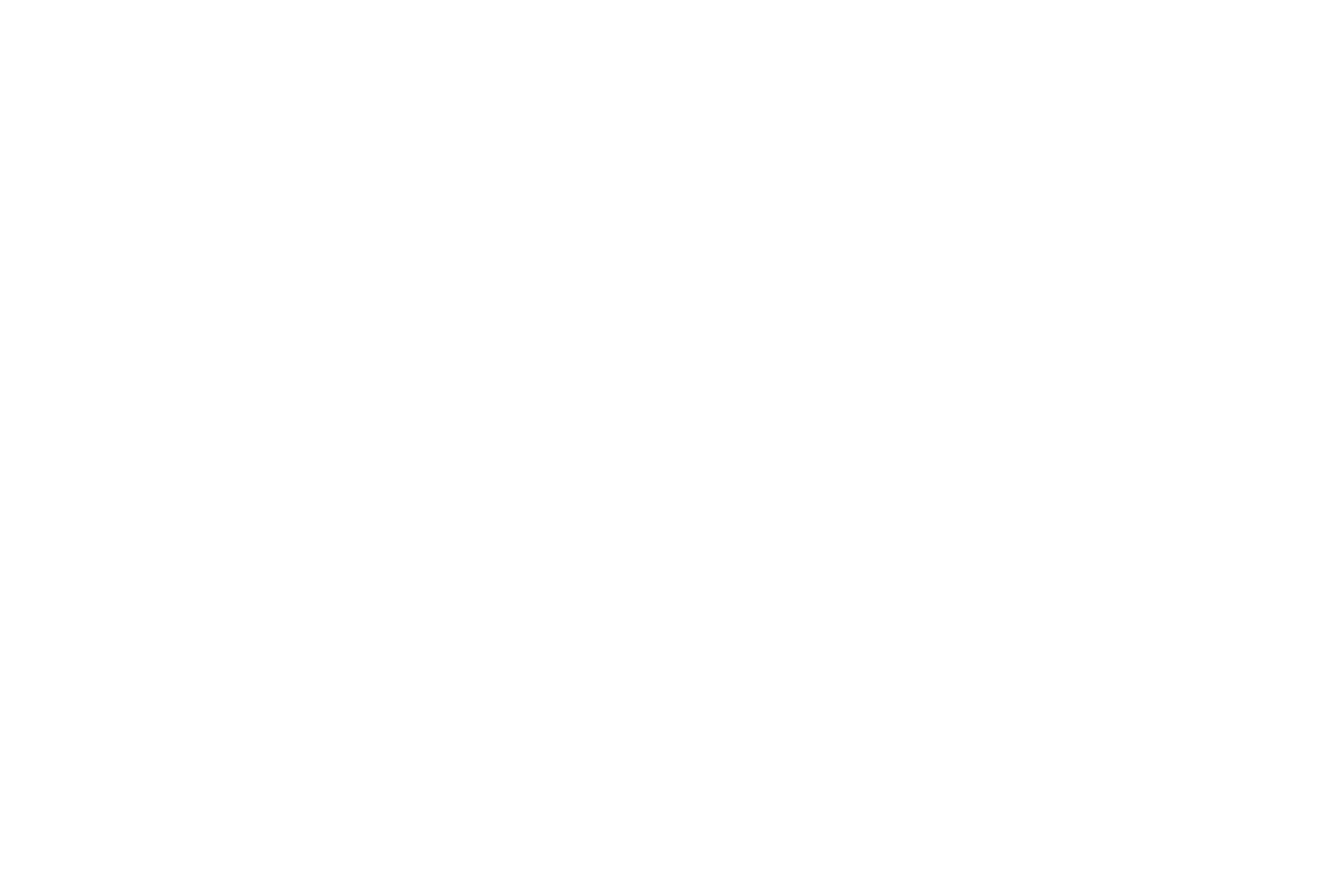 Donovan Stewardship